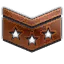 ( 120 Seviye ) Enf Bronze